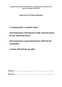 Manuale di laboratorio 2012-13