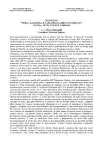 Relazione Avv. Stefano Borsacchi