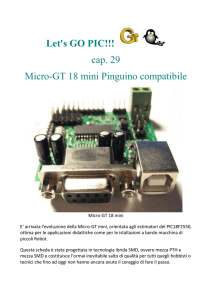 Porta ICSP della Micro-GT 18 mini - G