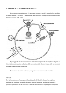 cap 4 IL TRASPORTO ATTRAVERSO LA