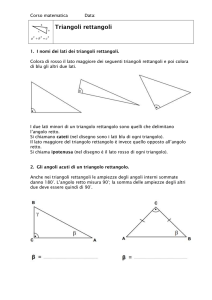 Premessa: triangoli rettangoli