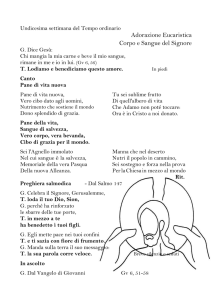 T. Sostieni il nostro cammino, Signore.