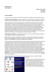 Patologia generale Prof.ssa Batetta Lezione n. 13 (2° parte) 06