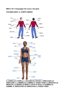 MED IJ 43: Il linguaggio del corpo e dei gesti VOCABOLARIO
