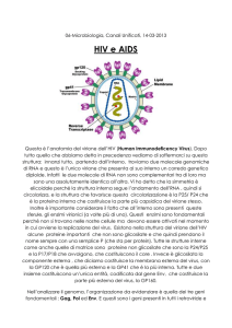 HIV e AIDS - Devil Java works