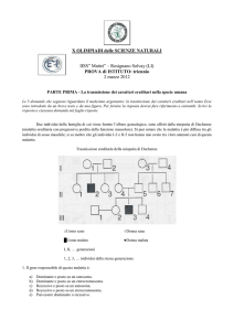 Due individui della famiglia di cui viene fornito l`albero genealogico