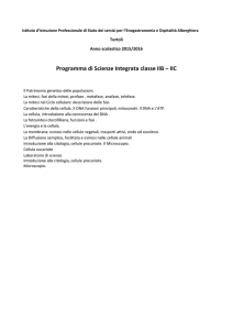 Programma di Scienze Integrata classe IIB – IIC