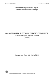 Programmi_Corsi_AA_2013-14 (in PDF)