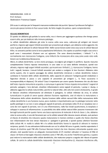 IMMUNOLOGIA 8-05-13 Prof. Ferlazzo Sbobinatore: Francesca