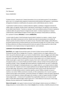 nervoso - Devil Java works