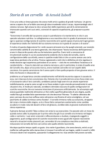 Arnold Zuboff, Storia di un cervello