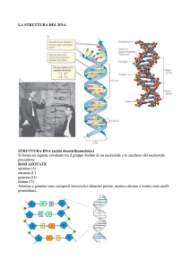 struttura del dna, cromosomi e geni