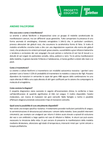 anemia falciforme - Provincia di Pesaro e Urbino