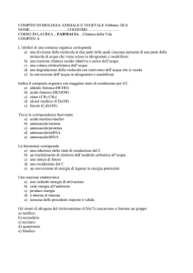 BVA compito febbraio 2013 sec ORD - e