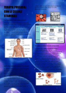 TERAPIE POSSIBILI CON LE CELLULE STAMINALI Cos`è una