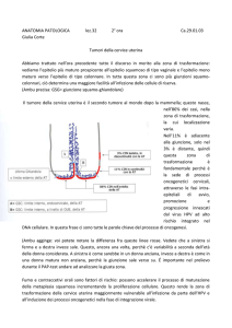 Carcinoma cervicale invasivo