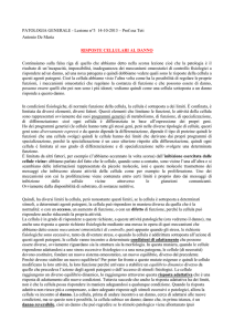 PATOLOGIA GENERALE - Lezione n°3 14-10