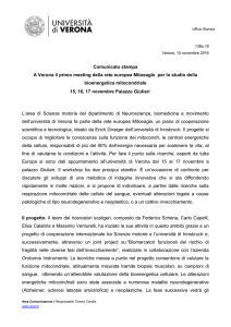 docx (it, 32 KB, 29/11/16) - Università degli Studi di Verona
