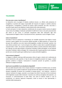 talassemie - Provincia di Pesaro e Urbino