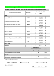 Scarica il file allegato