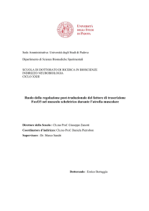 Documento PDF (Tesi Dottorato)