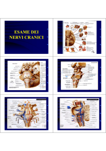L`esame neurologico - nervi cranici 1 - Digilander