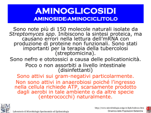 Diapositiva 1 - Sezione di Microbiologia