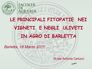 Diapositiva 1 - Comune di Barletta