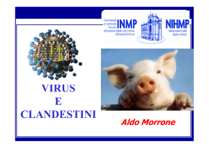 La diagnosi di influenza da nuovo virus A(H1N1)