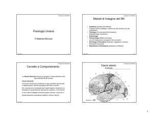 Il Sistema Nervoso