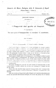 Annuario del Museo Zoologico della R. Università di Napoli Due