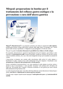 Mirgeal: preparazione in bustine per il trattamento del reflusso