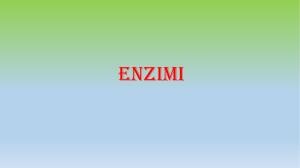 Enzimi e cinetica enzimatica