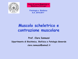 Diapositiva 1 - Dipartimento di Biochimica Biofisica e Patologia