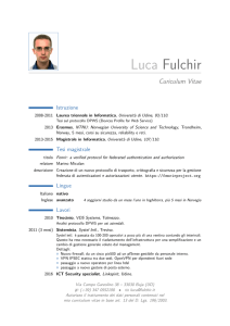 Luca Fulchir – Curiculum Vitae
