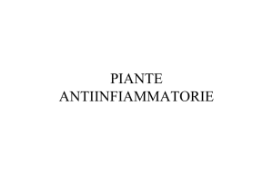 PIANTE ANTIINFIAMMATORIE