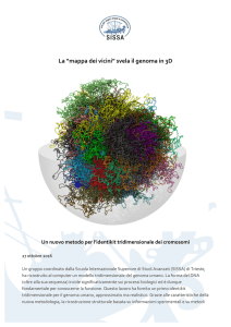 La “mappa dei vicini” svela il genoma in 3D