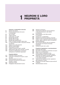 NEURONI E LORO PROPRIET&Agrave;