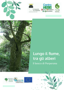 Lungo il fiume, tra gli alberi