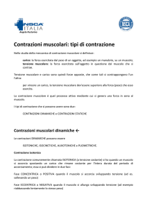 2-contrazioni-muscolari.