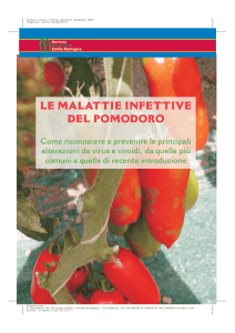 Le malattie infettive del pomodoro