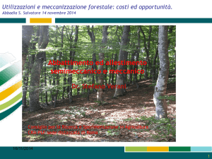 Diapositiva 1 - MACCHIA FAGGETA