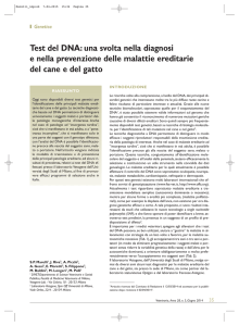 Genetica Test del DNA: una svolta nella diagnosi e