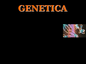 Lezione 1- Programma base genetica