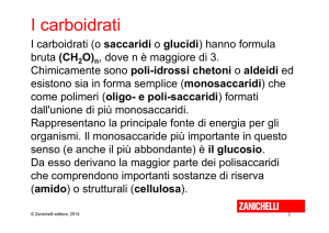 carboidrati, lipidi e amminoacidi