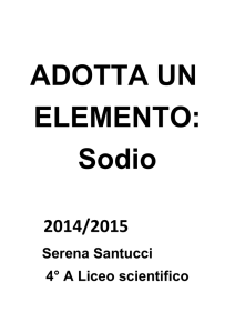 Serena Santucci 4° A Liceo scientifico