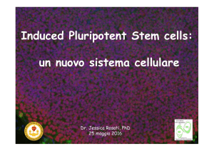 Induced Pluripotent Stem cells: un nuovo sistema cellulare - e