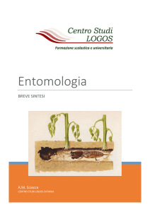 Entomologia - Centro Studi Logos