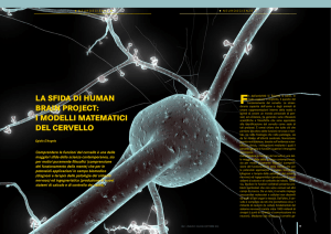 la sfida di human brain project: i modelli matematici del cervello