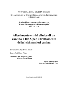 Allestimento e trial clinico di un vaccino a DNA per il trattamento